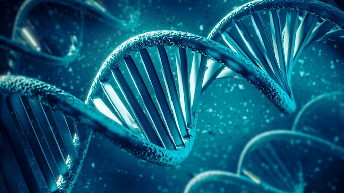 The Secrets in Our Genes