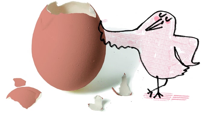 A Baker's Dozen Facts About Eggs