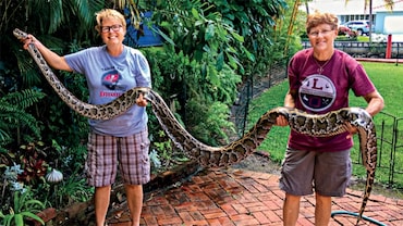 Florida's Sisterhood of Snake Charmers