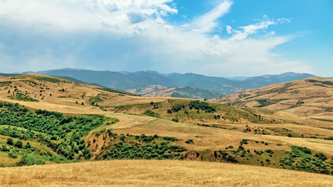 The Land of Supercentenarians