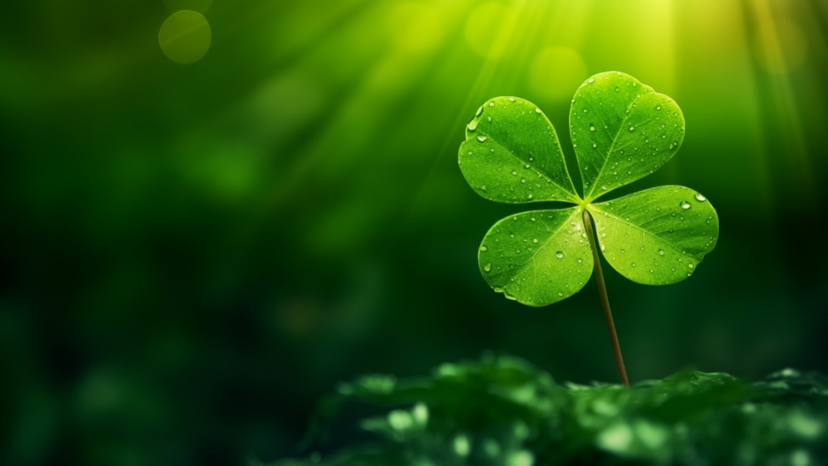 My Lucky Day: Six Tales of Good Fortune 