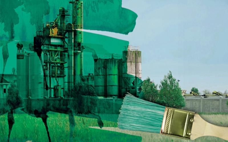 How Do I Guard against Greenwashing?