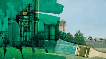 How Do I Guard against Greenwashing?