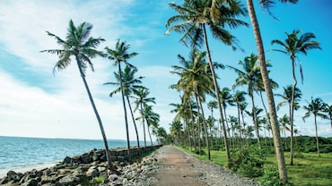 My Calicut Chronicles