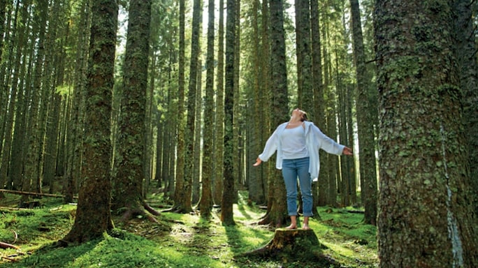 The Ultimate Health Hack? Forget Pills. Try Sunshine and Dirt