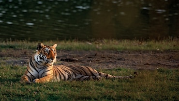 Arrowhead: Queen Of The Lakes