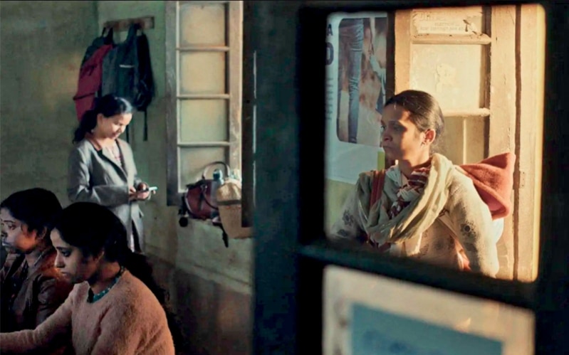 RD Recommends: Humans In the Loop, The Roses and More