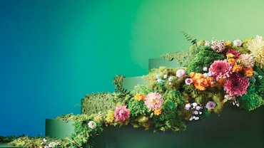 Make Small Changes, See Big Results