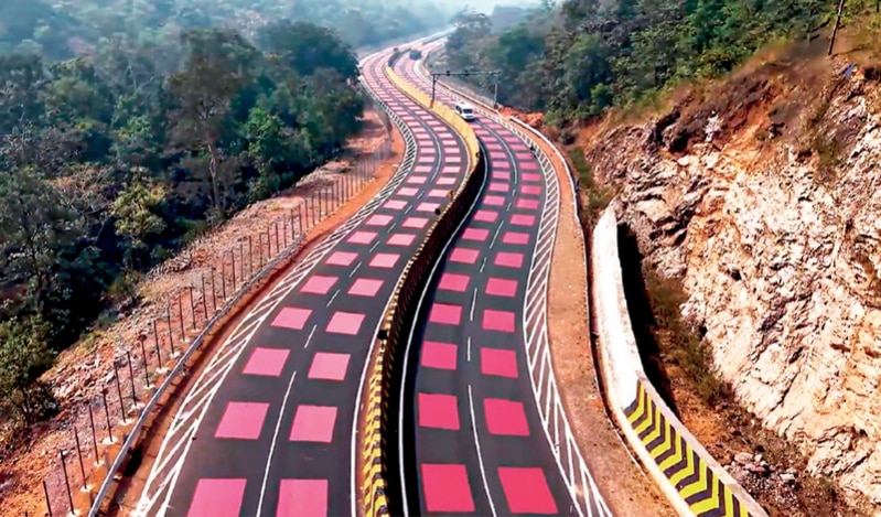 Good News: A Road Safe for Wildlife, Care during Care, and More