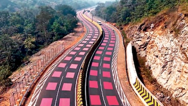 Good News: A Road Safe for Wildlife, Care during Care, and More