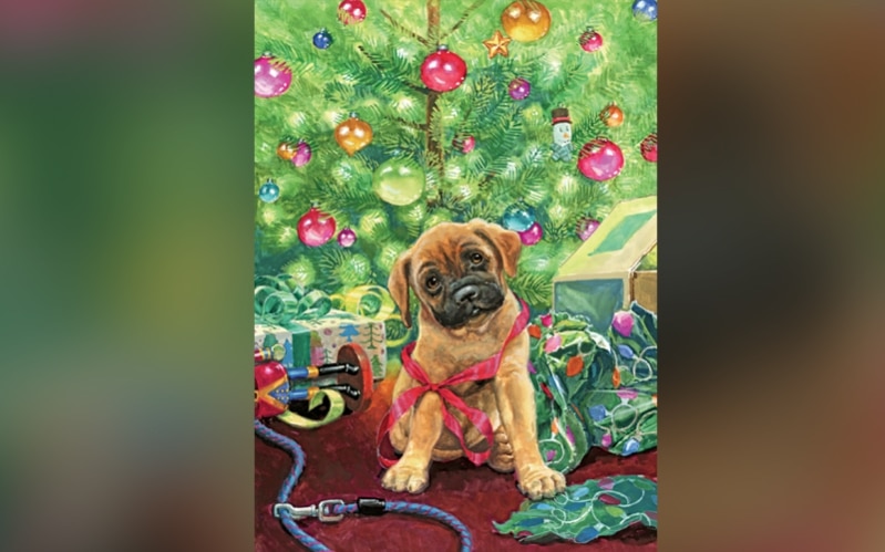 Our Best Worst Christmas Idea  Ever ...