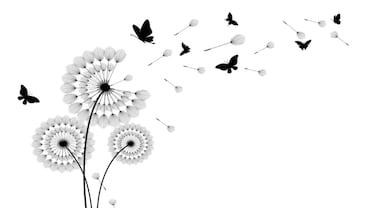 I Am My Mother's Older Brother