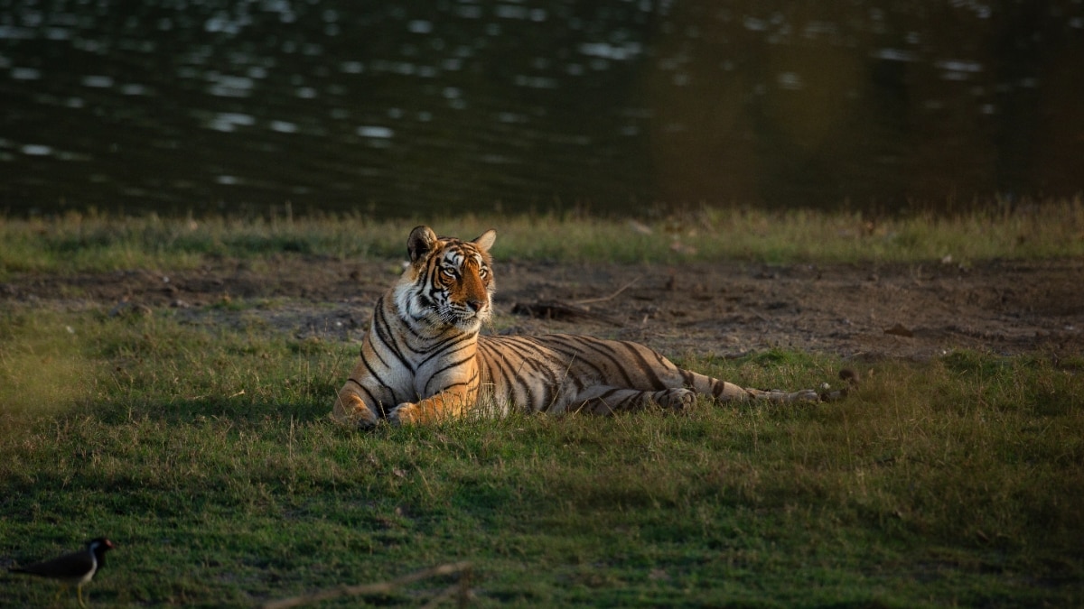 Arrowhead: Queen Of The Lakes