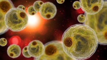 A Good Kind of Fat Cell, A Surprising Superfood for Diabetics and more