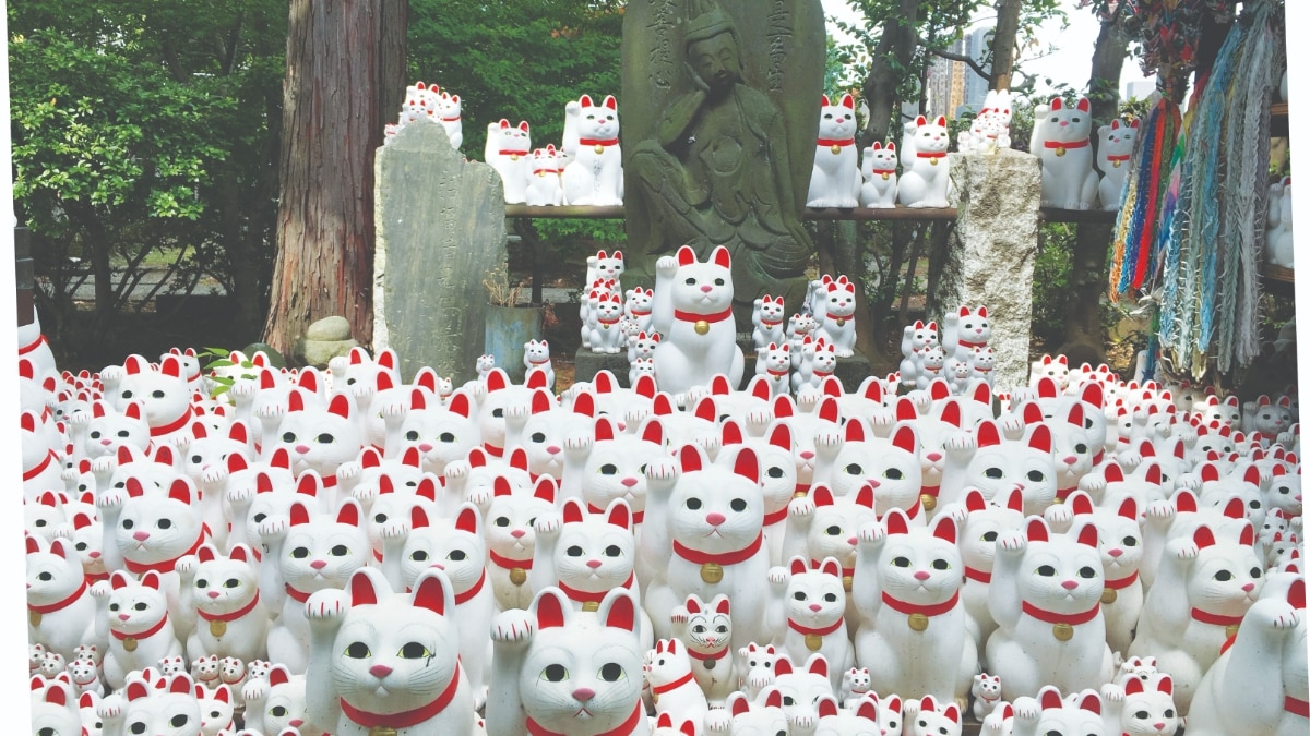 Japan's Famous Cat Spots: Where to See Cat Cafés, Shrines and More