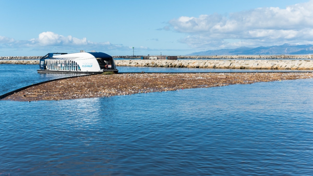 How One Non-Profit is Turning The Tide On Marine Pollution
