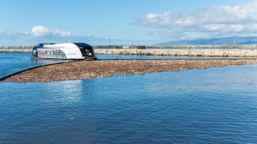 How One Non-Profit is Turning The Tide On Marine Pollution