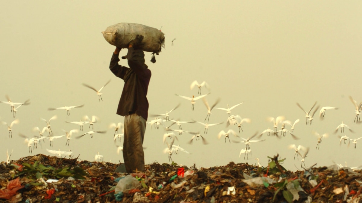 The Invisible Hands Behind India's Recycling Revolution