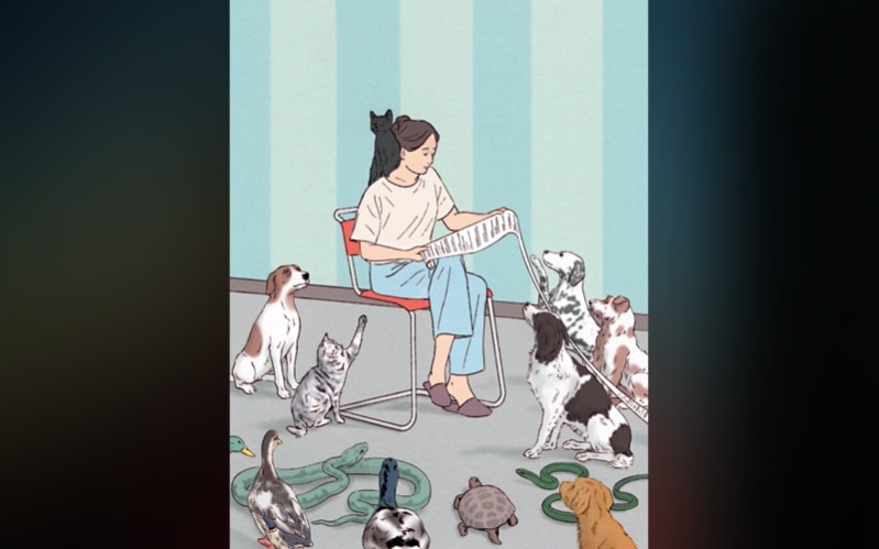 A Note for All Pet Sitters ...