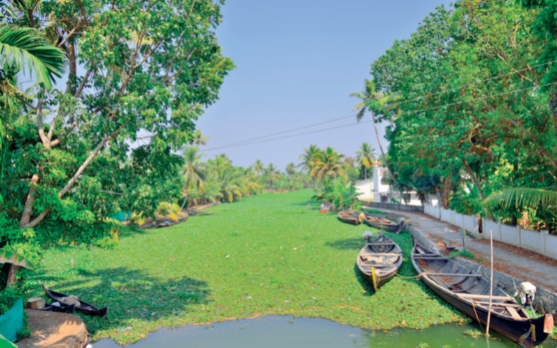 Good News: Lessons in Self-Reliance, A Safe Passage and More