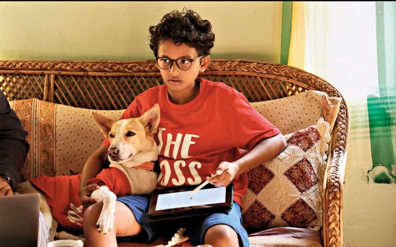 RD Recommends: Ohh My Dog, Last Man In Tower, and More