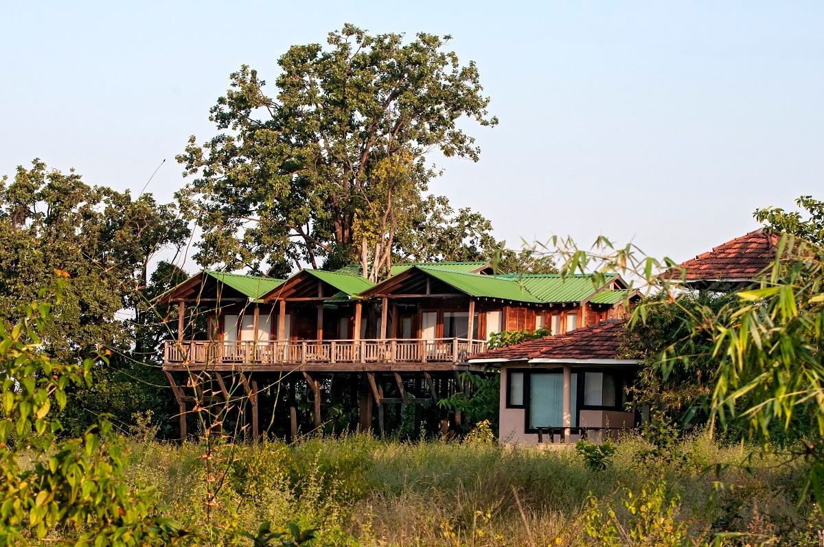 mp---denwa-backwater-escape-treehouse-2_100920055930.jpg