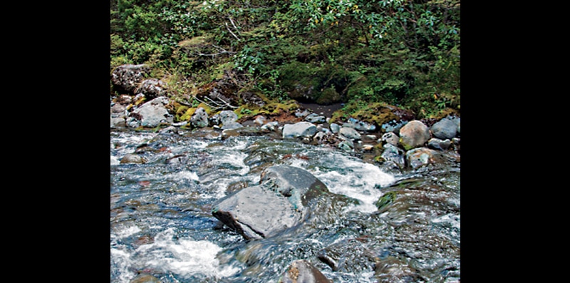 image-97_092325053318.jpg