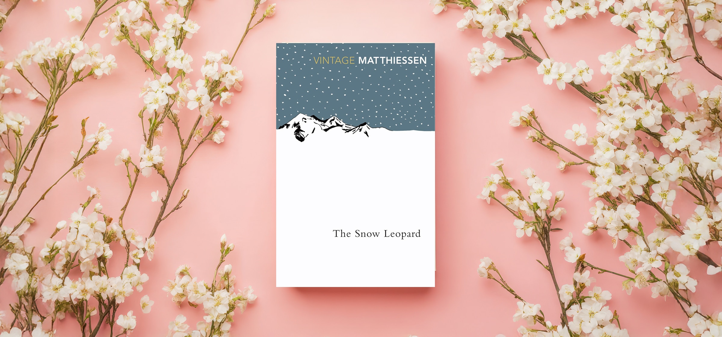 02the-snow-leopard_101325121421.jpg 02the-snow-leopard_101325121421.jpg