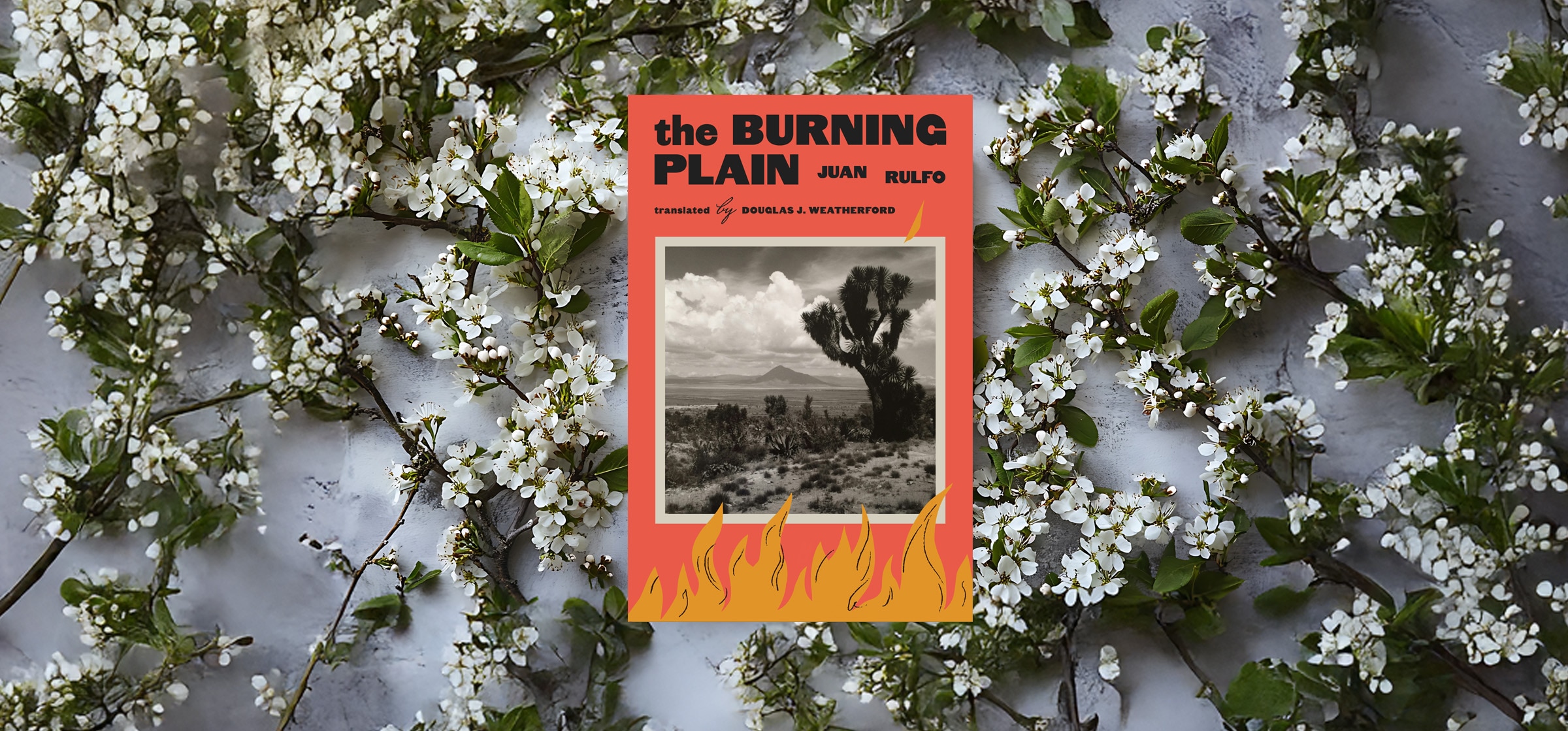 07-the-burning-plain_111425032255.jpg 07-the-burning-plain_111425032255.jpg