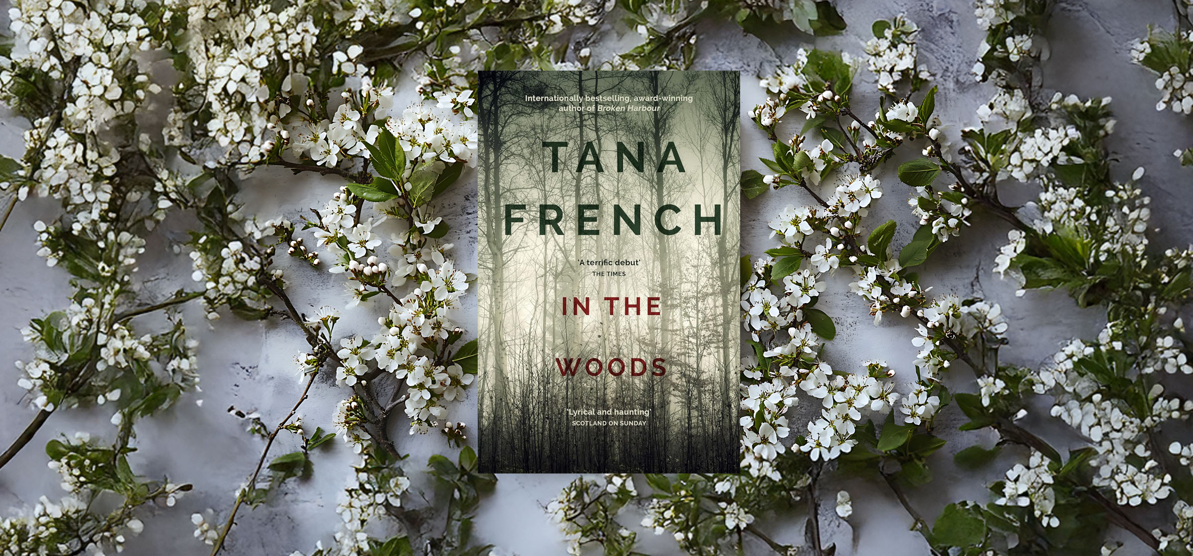 09-tana-french-in-the-woods_111825023050.jpg 09-tana-french-in-the-woods_111825023050.jpg