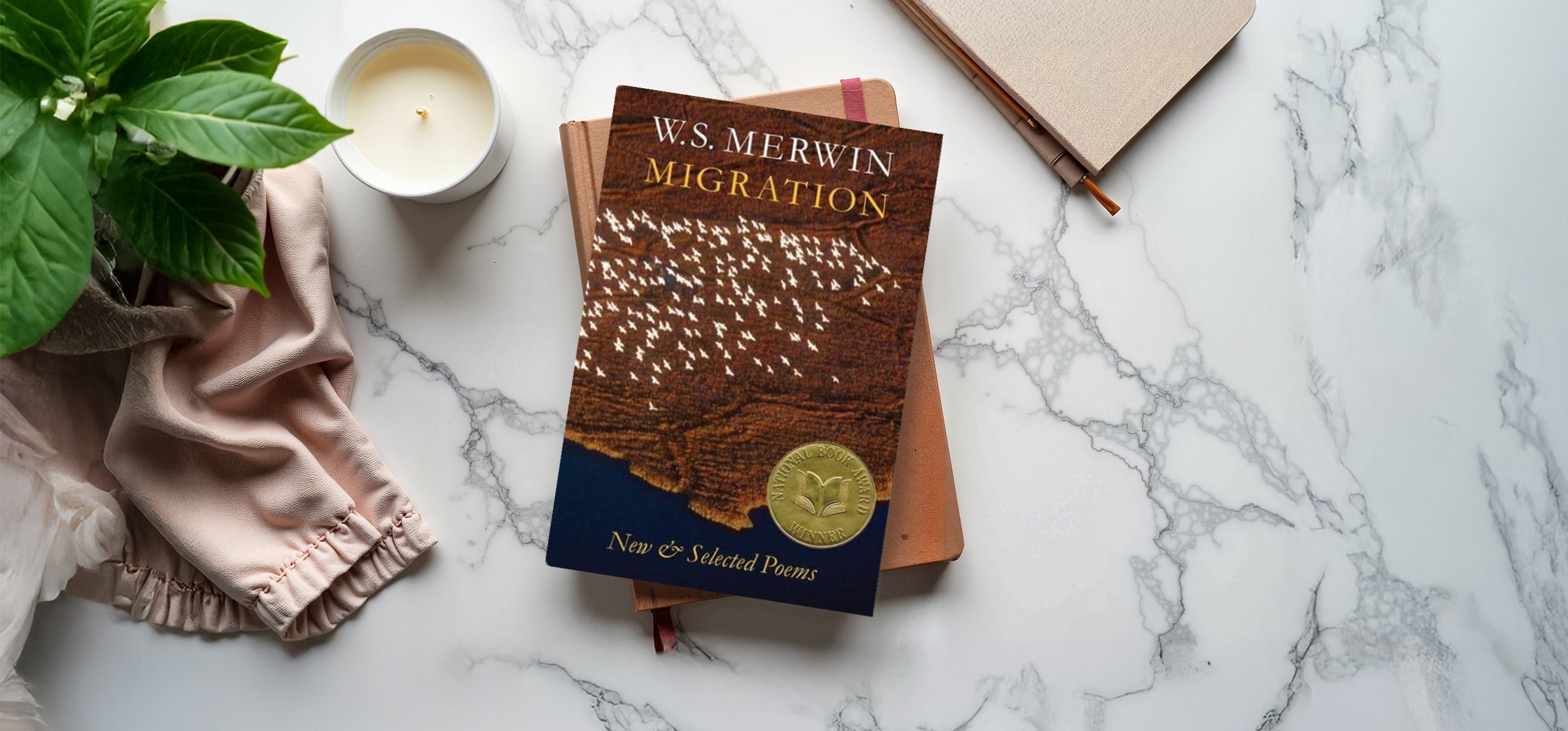 06migration_022426065131.jpg 06migration_022426065131.jpg