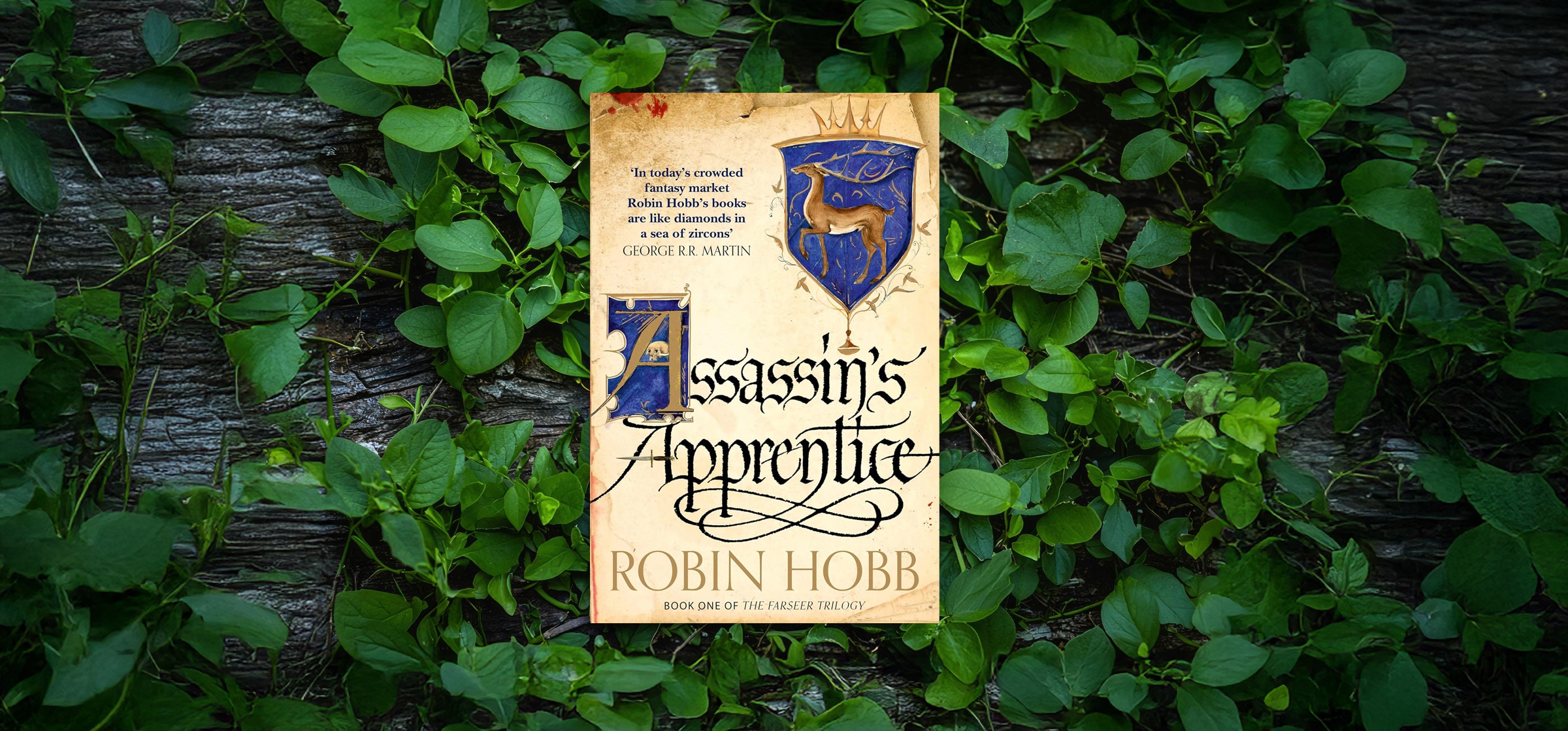 09-assassings-apprentice_022626025936.jpg 09-assassings-apprentice_022626025936.jpg