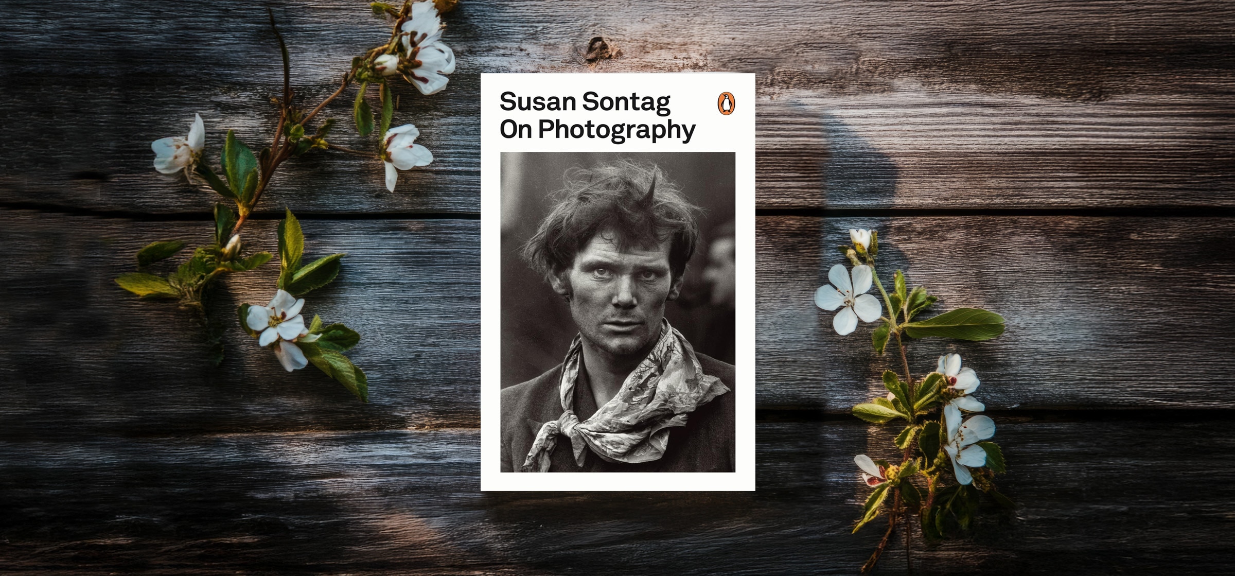 07-susan-sontage-on-photography_051526014724.jpg