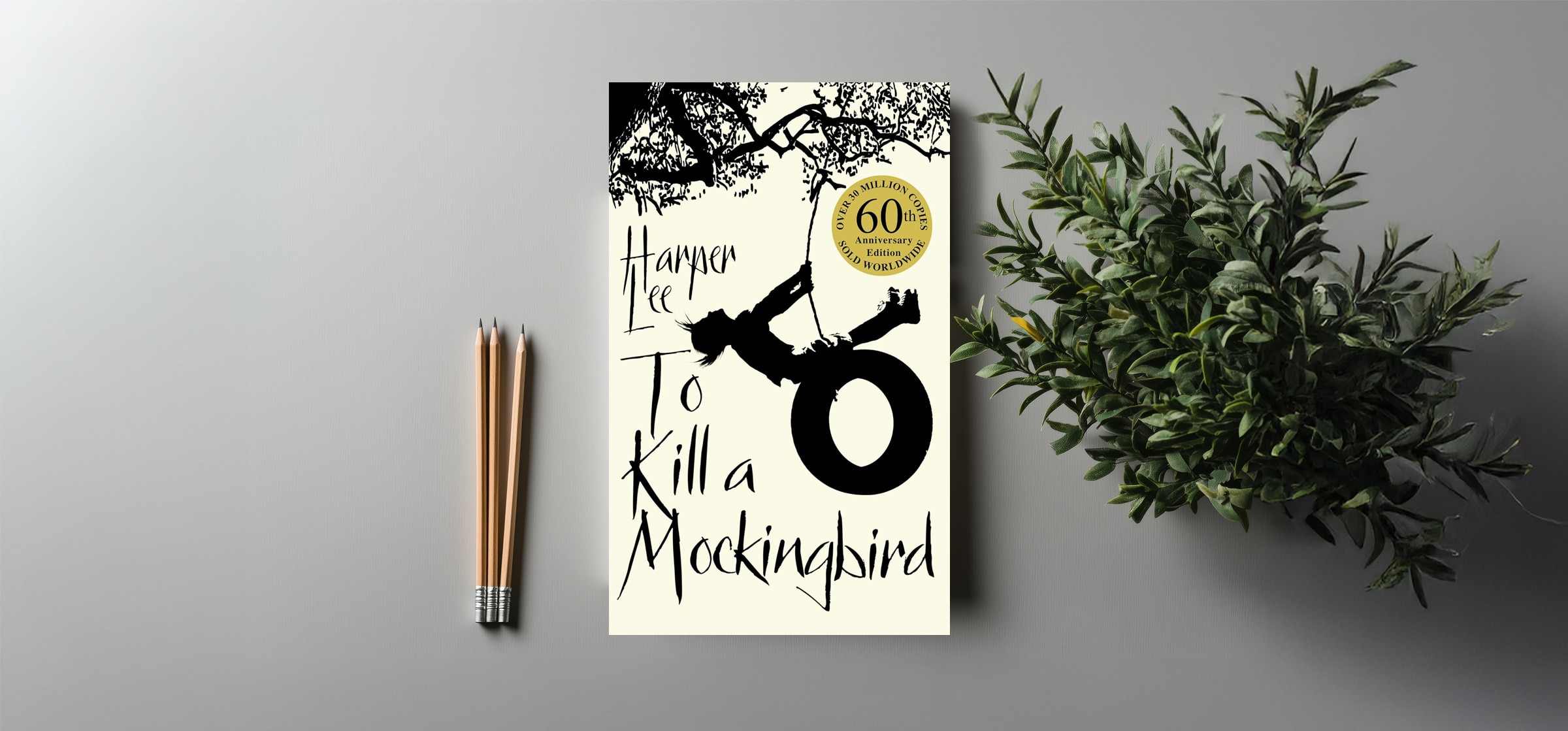 06-to-kill-a-mockingbird_061726053448.jpg