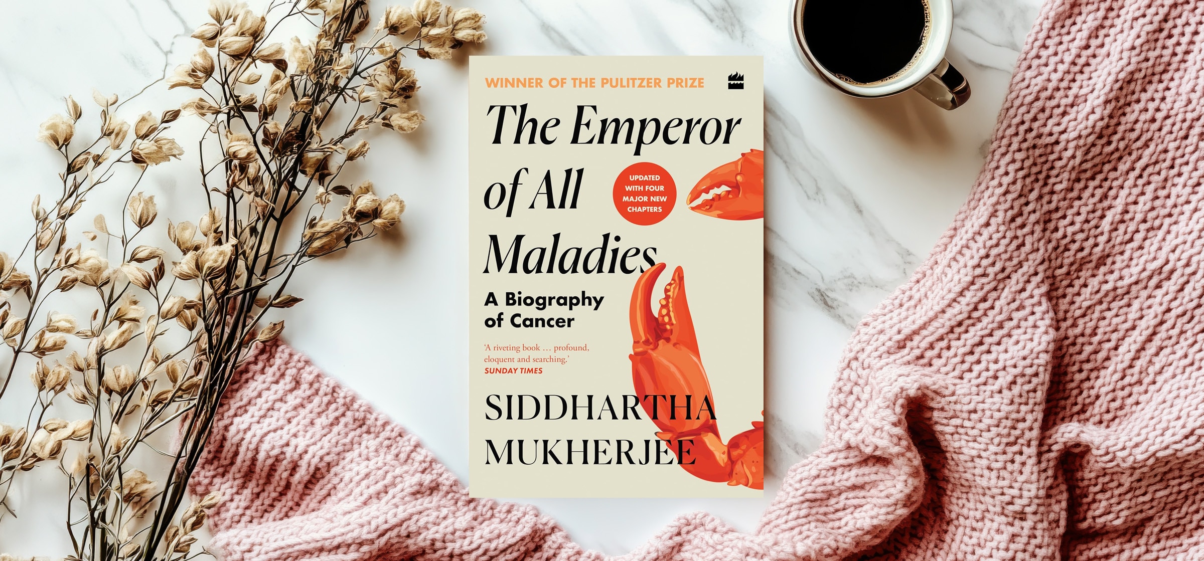 07-the-emperor-of-all-maladies_072326044752.jpg 07-the-emperor-of-all-maladies_072326044752.jpg