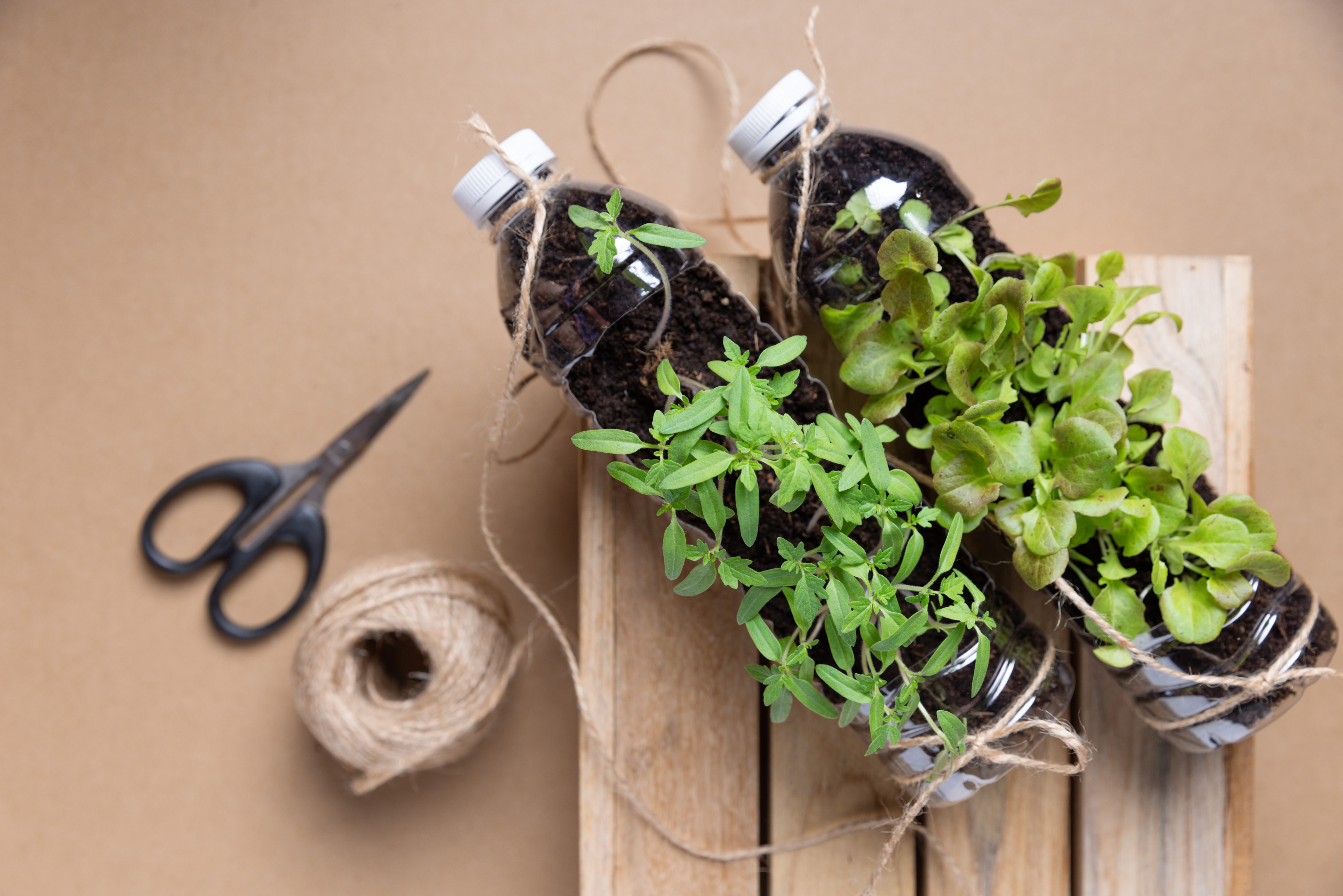 adobestock_448250750_092126123729.jpg adobestock_448250750_092126123729.jpg