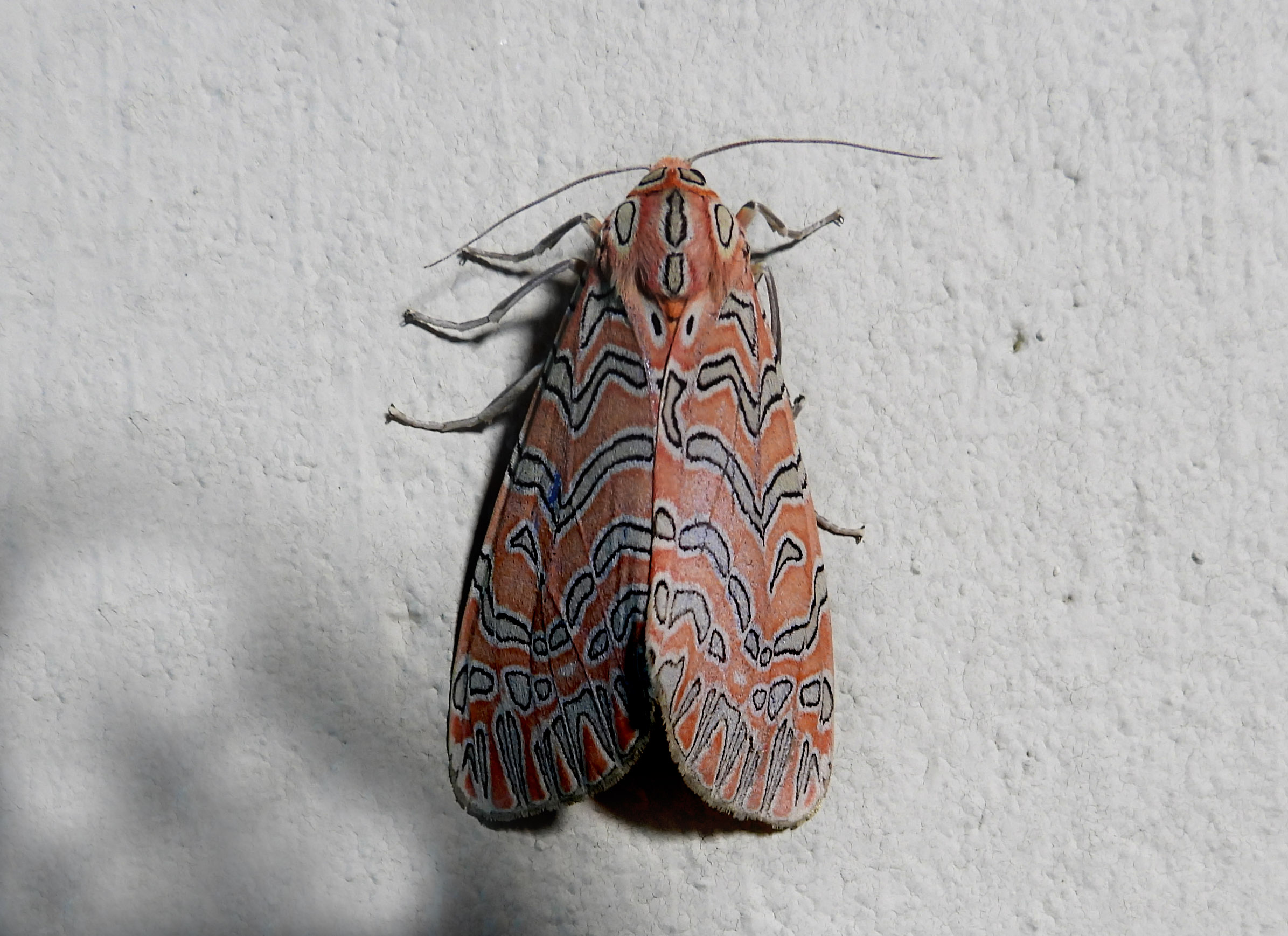 antaram-idukki_100526120834.jpg