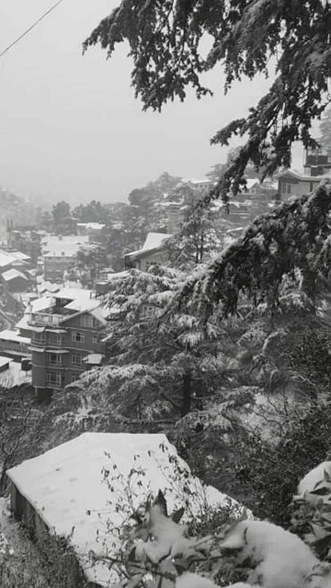 शिमला और वैष्णो देवी में हुई मौसम की पहली बर्फबारी, पर्यटकों के चेहरे खिले