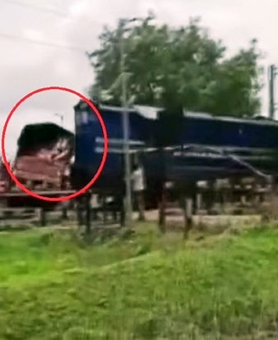 ट्रक से टकराई ट्रेन, देखें खौफनाक Video