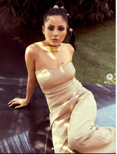 ये डाइट लेकर स्लिम हुईं शहनाज, खुला फिटनेस सीक्रेट