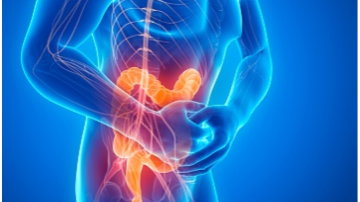 लिवर, दिल और किडनी के लिए जहर समान हैं ये तीन फूड, तुरंत छोड़ें These