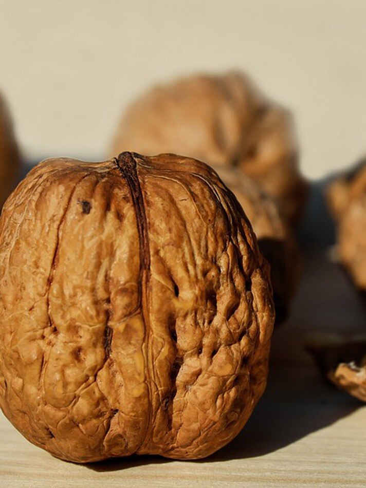 सेहत के लिए वरदान है अखरोट Food benefits of walnuts brain food health