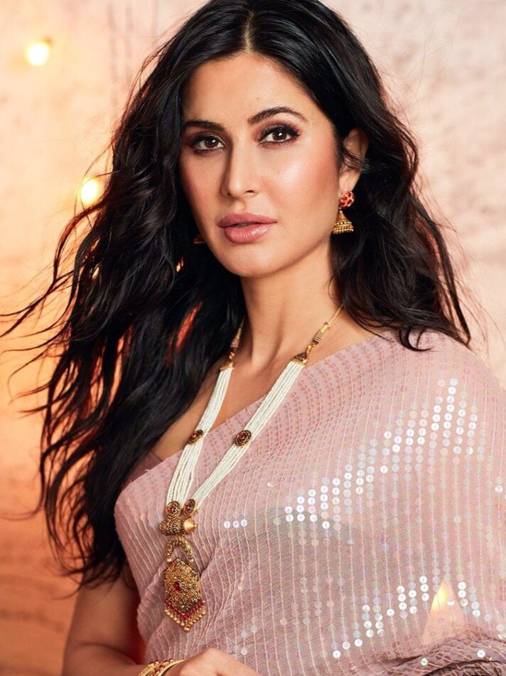 साड़ी से स्विमसूट तक कैटरीना का स्टनिंग अवतार