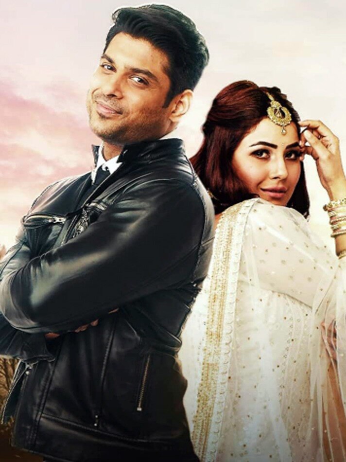 दिसंबर में शादी करने वाले थे सिद्धार्थ-शहनाज!