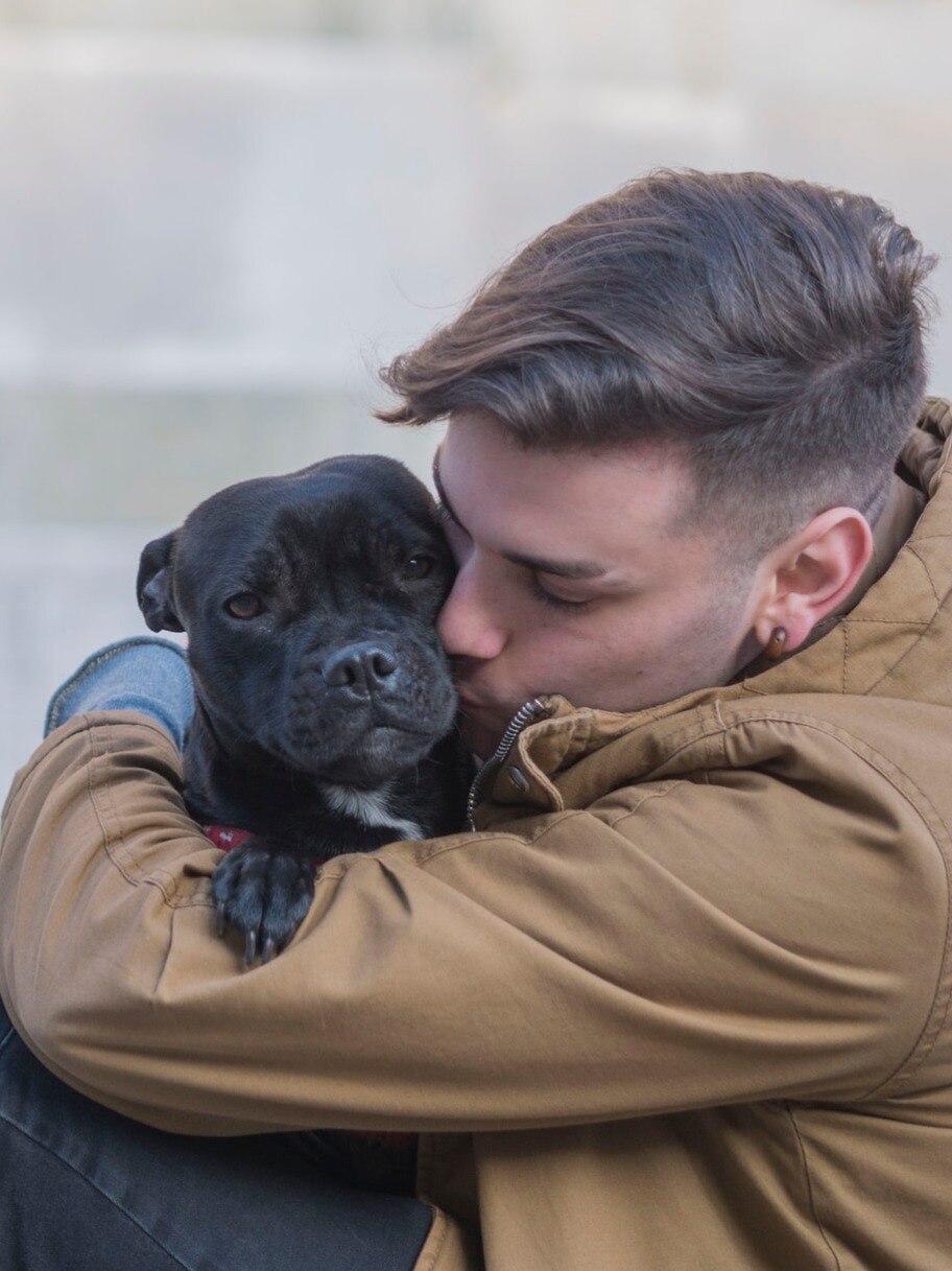 মন ভাল নেই? বাড়িতে পোষ‍্য আনুন