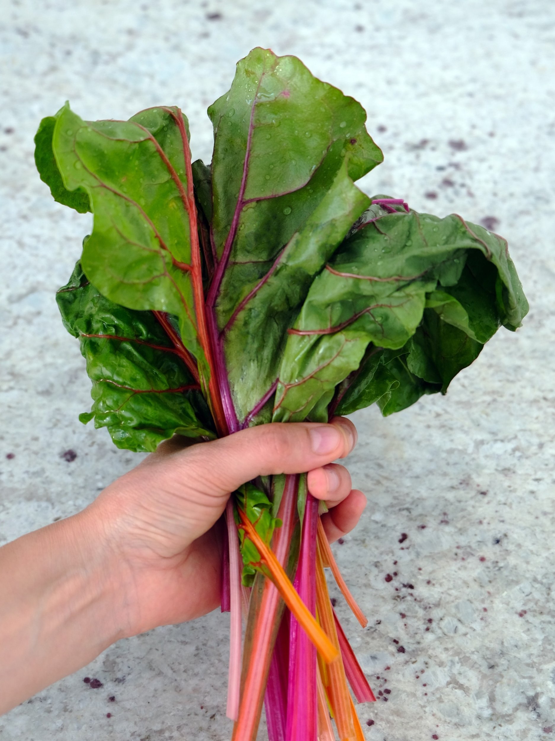 পালং শাক খেলেই হবে 'মিরাকেল'