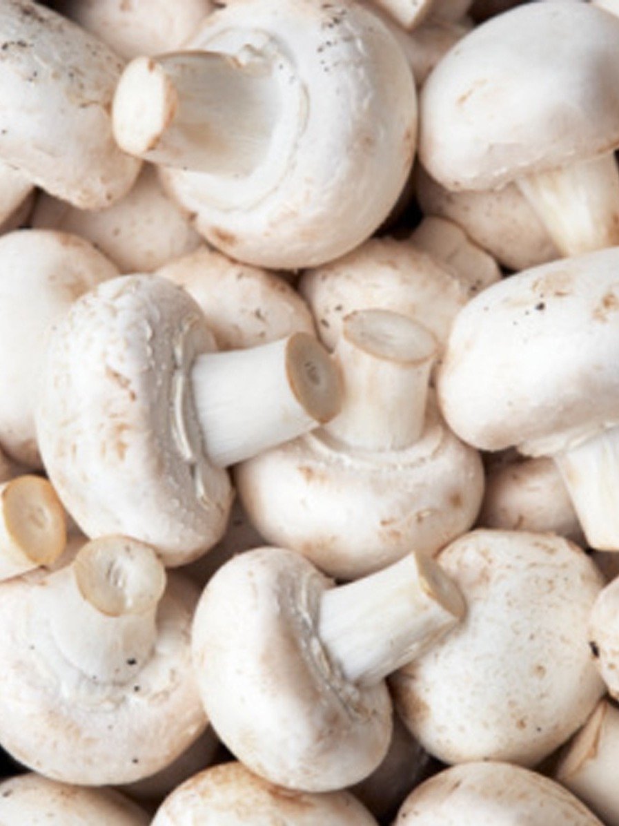 মাশরুম খাওয়ার কী কী উপকারিতা জানেন?