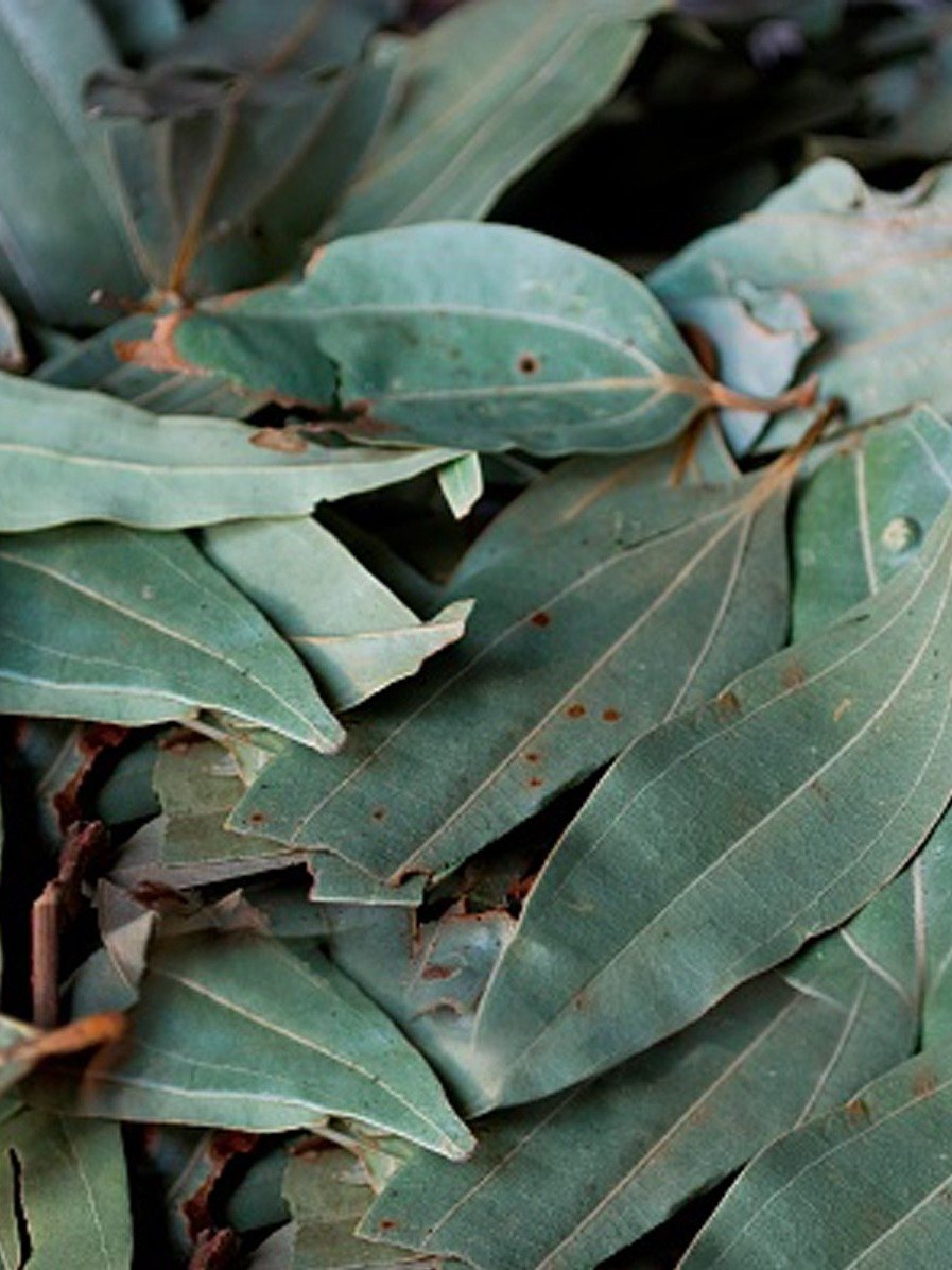 তেজপাতা ব্যবহারের এত উপকারিতা জানতেন?