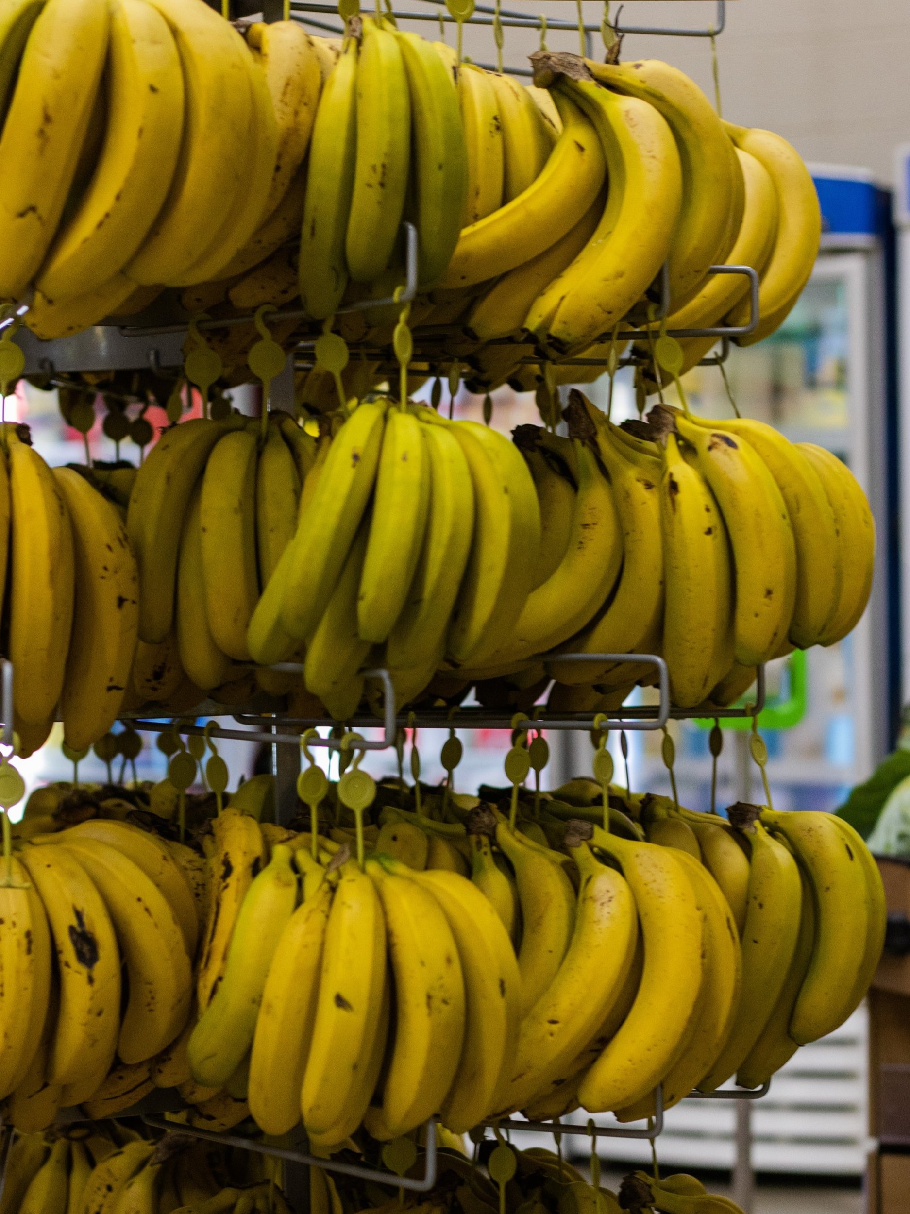 ফ্রিজে কলা রাখেন? ভাল নয়! কী ক্ষতি? জানুন