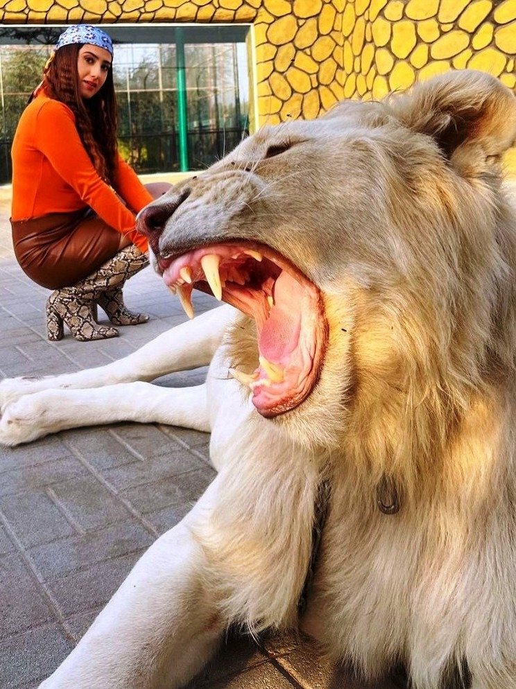 इन खूंखार जानवरों को दूध पिलाती नजर आईं ये एक्ट्रेस